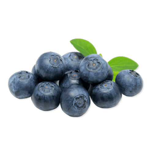 BLUEBERRY CREAM powder: 1 Kg bag